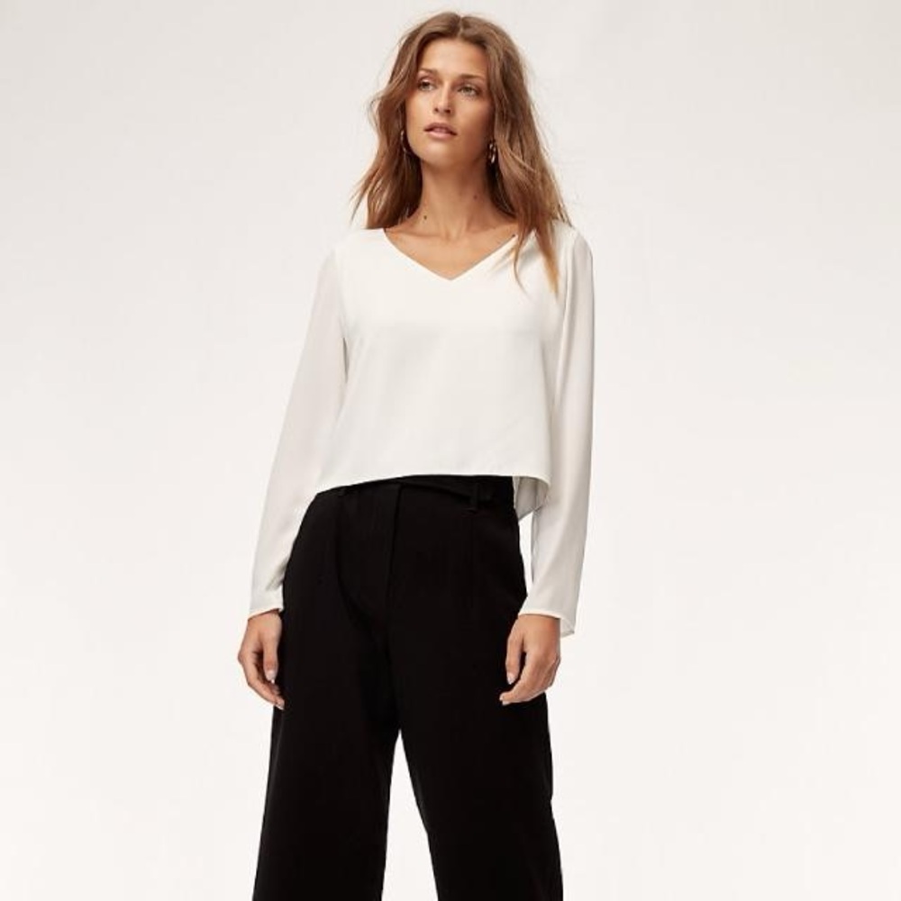 Babaton / Aritzia Murphy Blouse